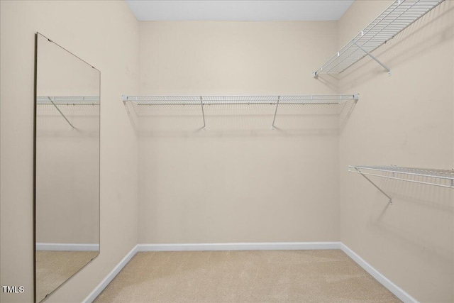 spacious closet with carpet flooring