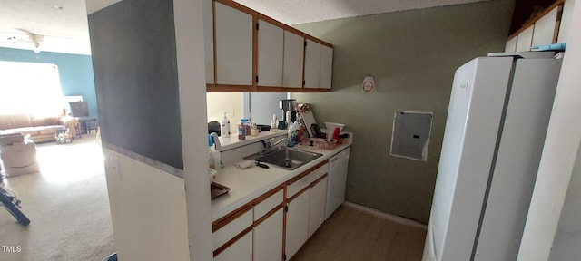 kitchen featuring white cabinetry, sink, light colored carpet, electric panel, and white appliances