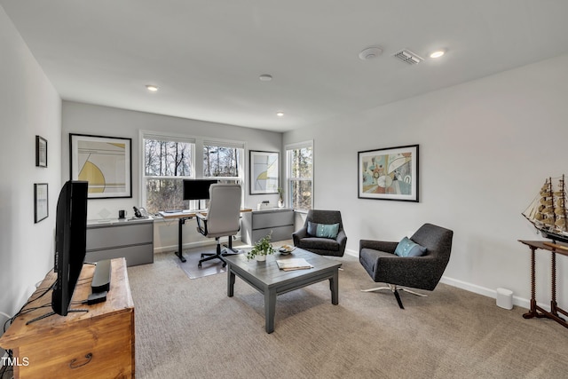 carpeted home office with a wealth of natural light