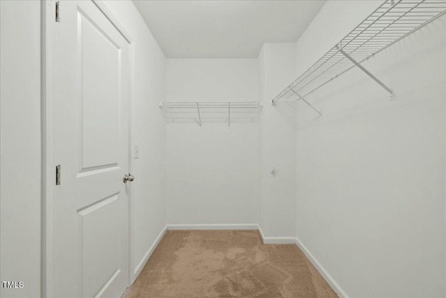 walk in closet featuring light carpet