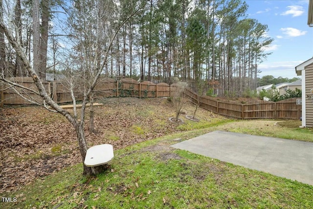 view of yard featuring a patio