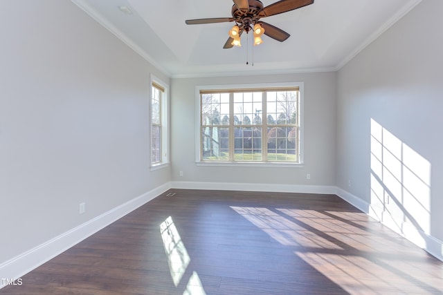 unfurnished room featuring ceiling fan, ornamental molding, dark hardwood / wood-style floors, and a raised ceiling