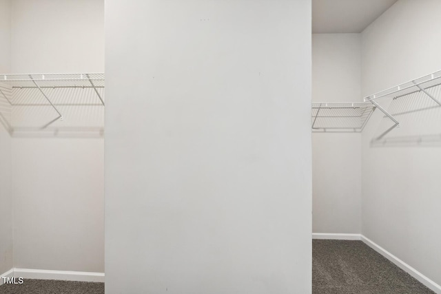 spacious closet featuring carpet