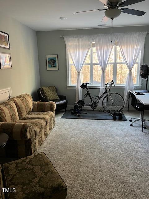 exercise room with carpet, a wealth of natural light, and ceiling fan