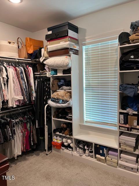 spacious closet featuring carpet flooring