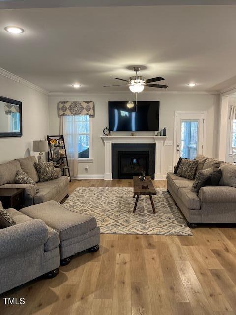 living room with ceiling fan, ornamental molding, and wood-type flooring