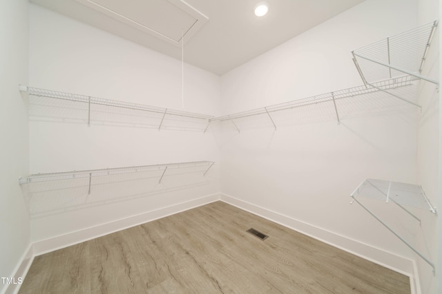 spacious closet with hardwood / wood-style flooring