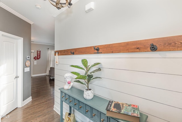 hall with ornamental molding and dark hardwood / wood-style floors