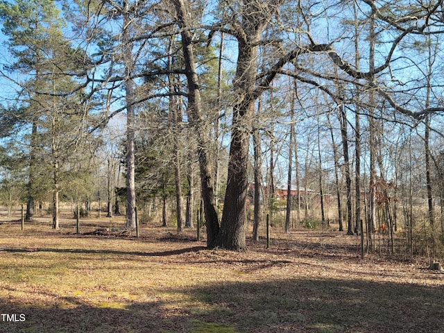 7027 Old 421 Rd, Liberty, NC 27298 - photo 5