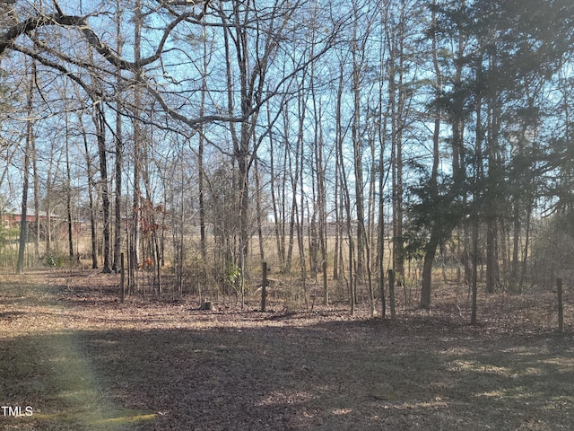 7027 Old 421 Rd, Liberty, NC 27298 - photo 6