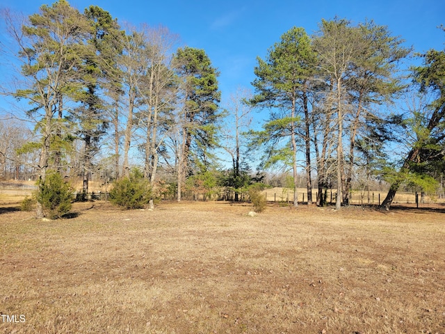 7027 Old 421 Rd, Liberty, NC 27298 - photo 15