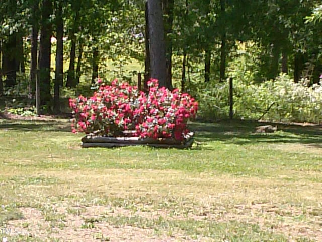 7027 Old 421 Rd, Liberty, NC 27298 - photo 43