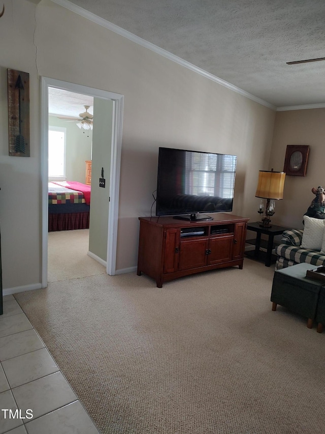 7027 Old 421 Rd, Liberty, NC 27298 - photo 62