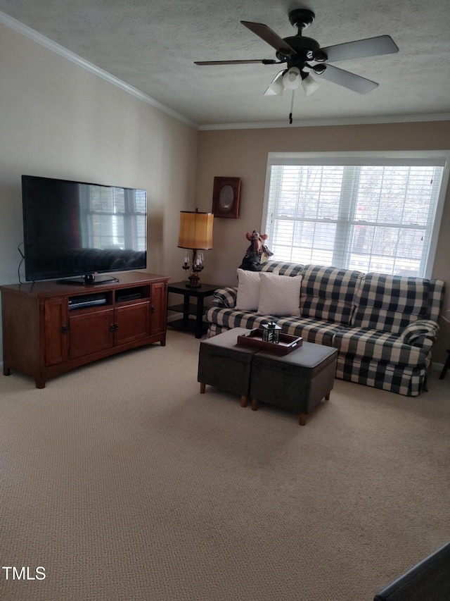 7027 Old 421 Rd, Liberty, NC 27298 - photo 61