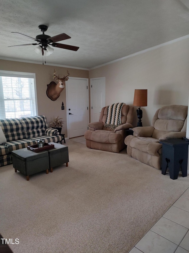 7027 Old 421 Rd, Liberty, NC 27298 - photo 60