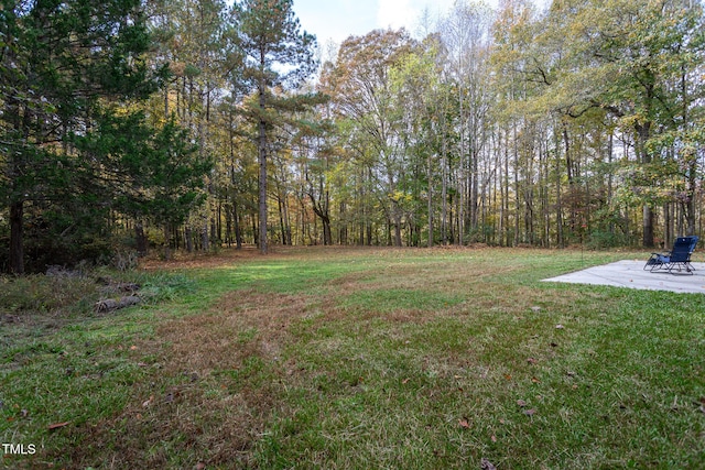 view of yard with a patio