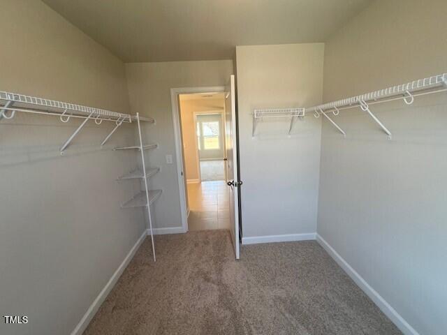 spacious closet with carpet floors