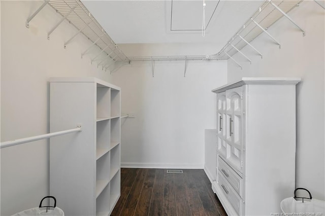 walk in closet featuring dark hardwood / wood-style floors