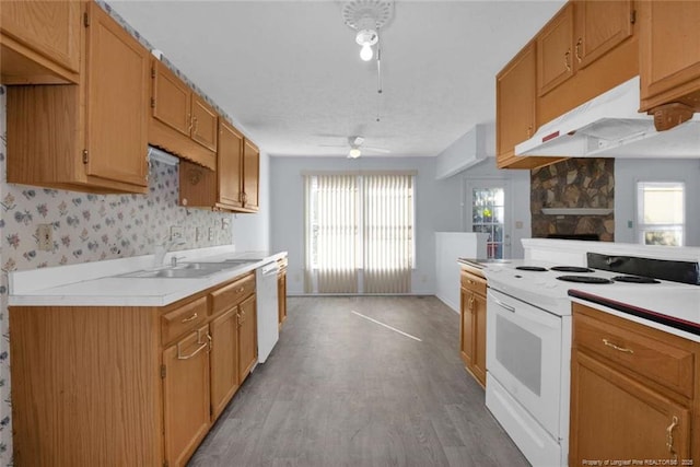 kitchen with sink, white appliances, ceiling fan, a fireplace, and light hardwood / wood-style floors