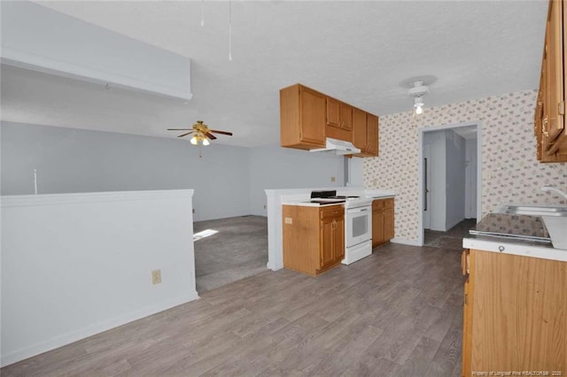 kitchen with white electric stove, sink, ceiling fan, a textured ceiling, and light hardwood / wood-style flooring