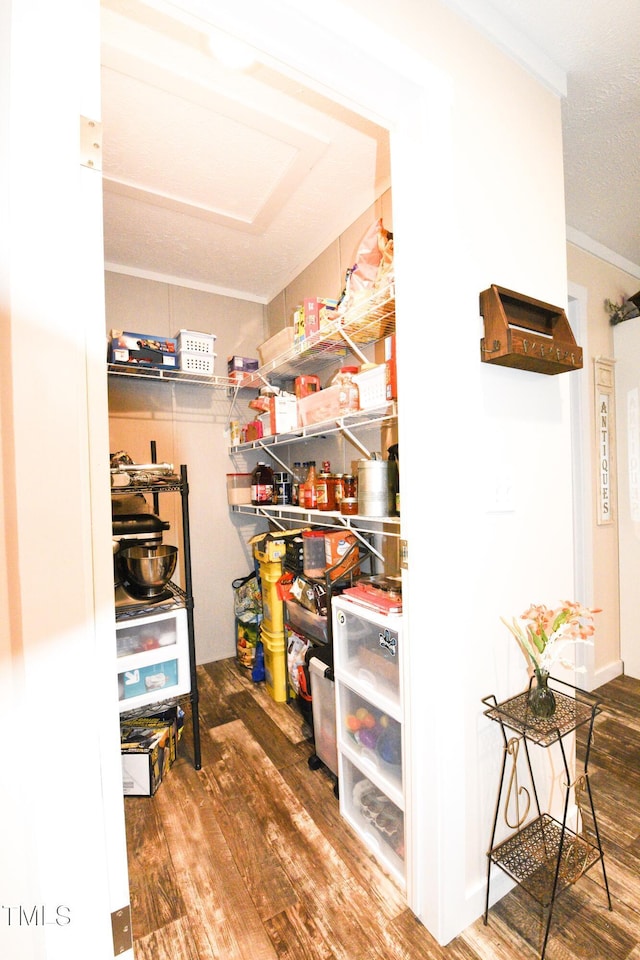 view of pantry