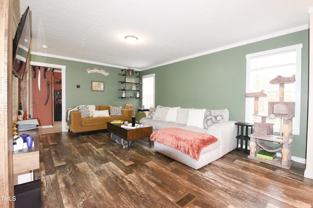 living room with crown molding, a textured ceiling, and dark hardwood / wood-style flooring