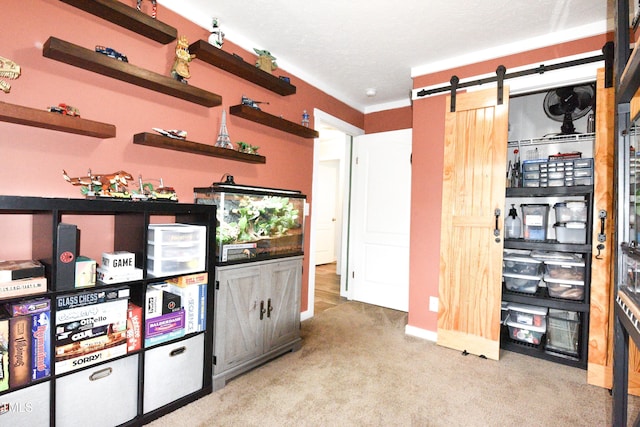 interior space featuring carpet, a barn door, and a textured ceiling