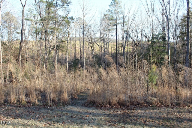 view of local wilderness