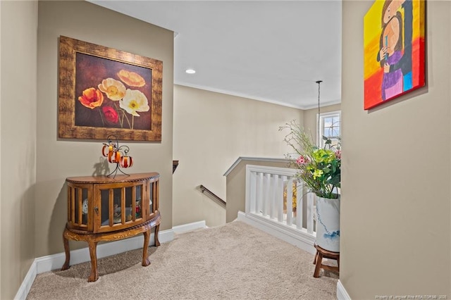 corridor featuring crown molding and carpet flooring