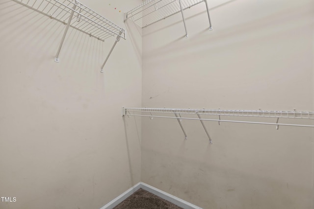 walk in closet featuring carpet floors