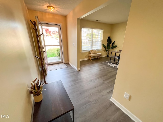 entryway with dark wood-type flooring