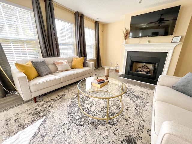 living room featuring wood-type flooring and a textured ceiling