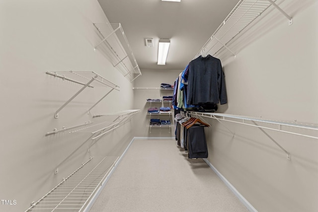 spacious closet featuring carpet