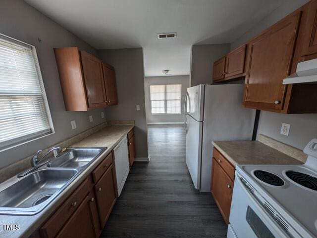 kitchen with under cabinet range hood, white appliances, brown cabinets, and a sink