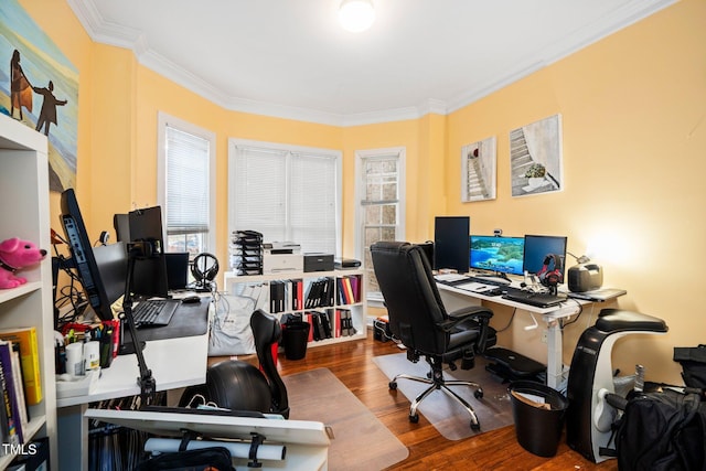 office featuring ornamental molding and hardwood / wood-style floors