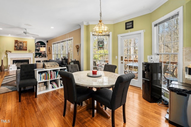 dining room with crown molding, ceiling fan, and light wood-type flooring