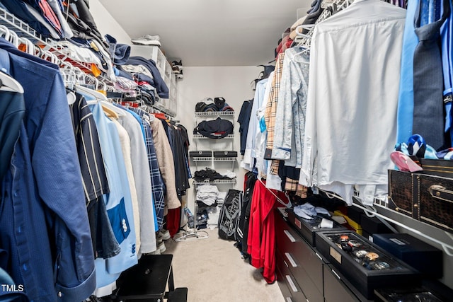 walk in closet with light colored carpet