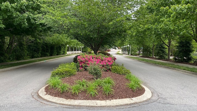 view of street