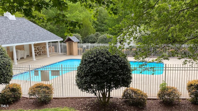 view of swimming pool with a patio