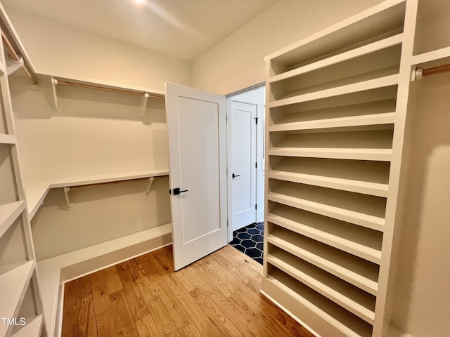 walk in closet with wood-type flooring