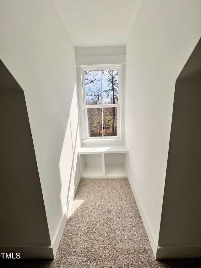 interior space featuring carpet flooring