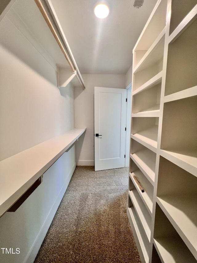 spacious closet featuring carpet floors