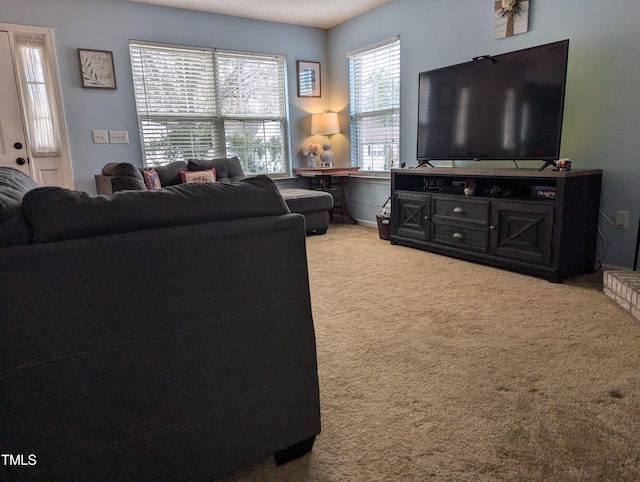 living room featuring carpet