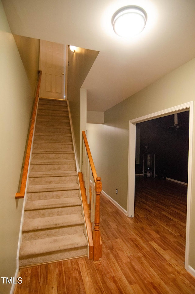 staircase featuring wood-type flooring