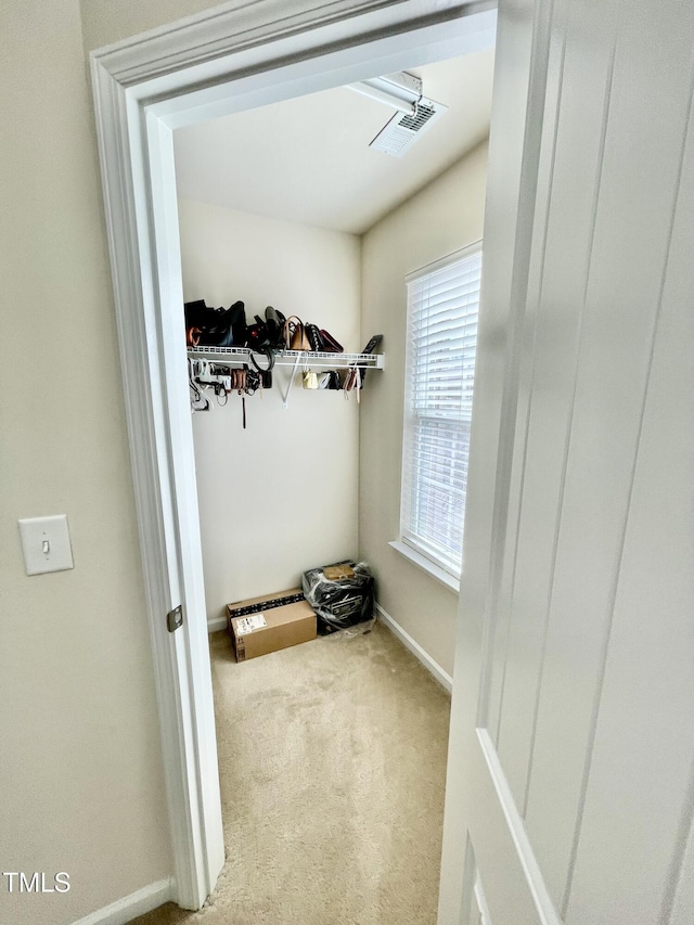 walk in closet with light carpet