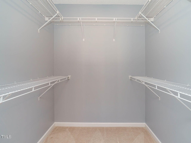 walk in closet featuring carpet flooring