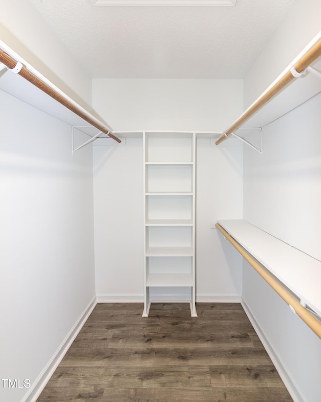 walk in closet featuring dark wood-type flooring