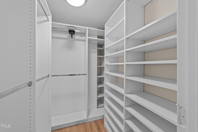 walk in closet featuring wood finished floors