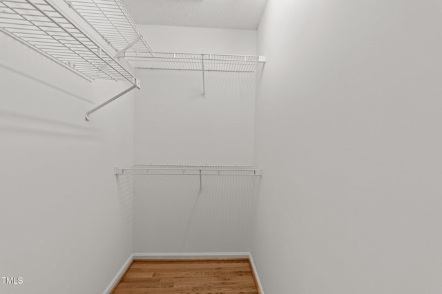 spacious closet featuring light wood finished floors