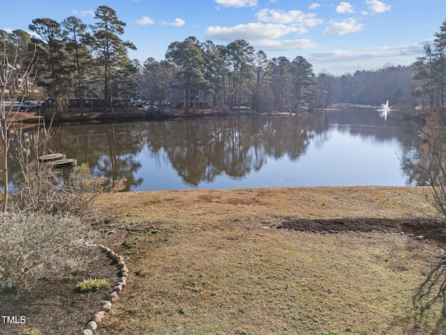 view of water feature